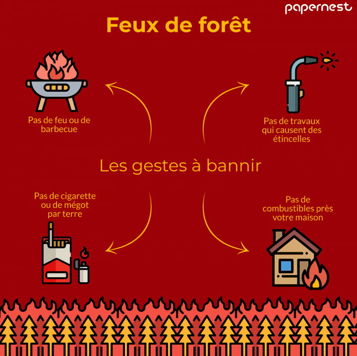 Les feux de forêt : les bons et les mauvais gestes