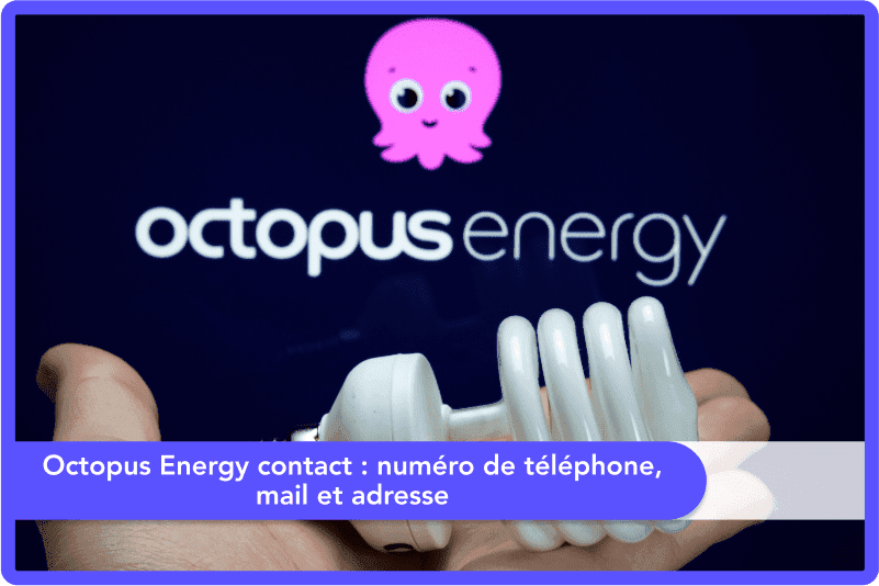 Octopus Energy contact : numéro de téléphone, mail et adresse