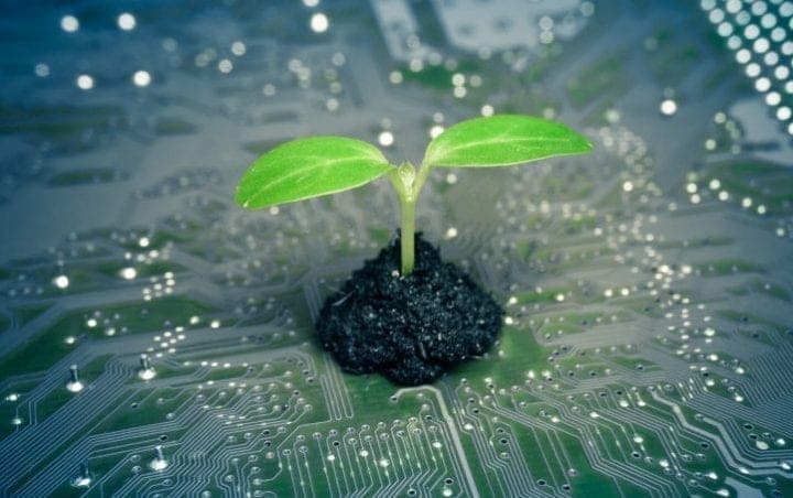 La Green Tech: 4 start-ups à suivre de près!