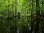Réseau Natura 2000