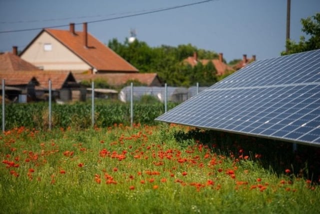 raccordement producteur électricité