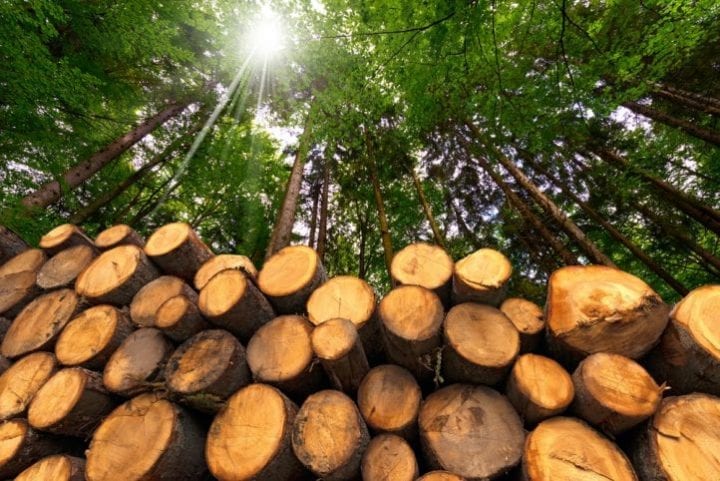 Le bois-énergie Le bois-énergie