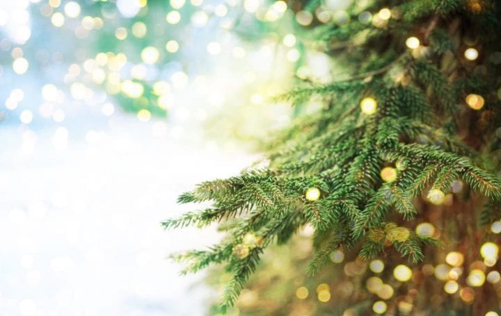 Noël écologique Noël écologique