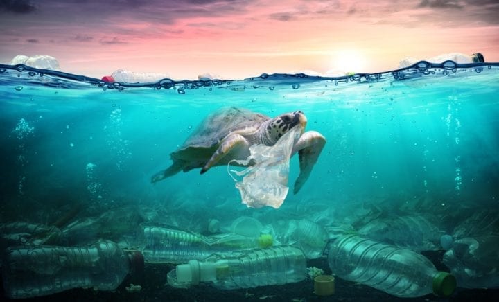 Interdiction plastique 2020 pollution marine