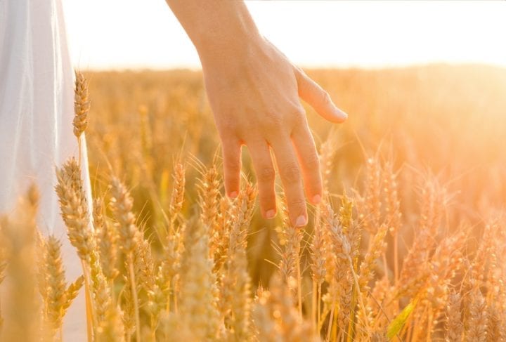 quel avenir pour l'agriculture