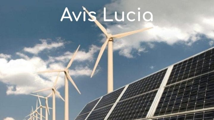 Avis Lucia Avis Lucia