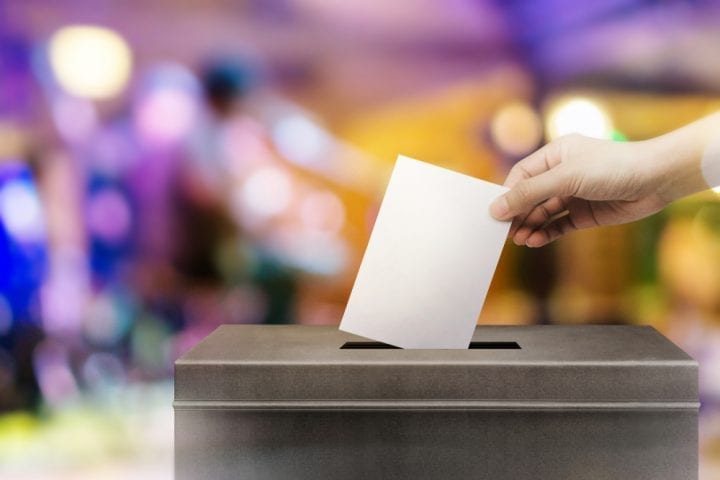 Élections municipales 2020 EELV vague verte Élections municipales 2020 EELV vague verte