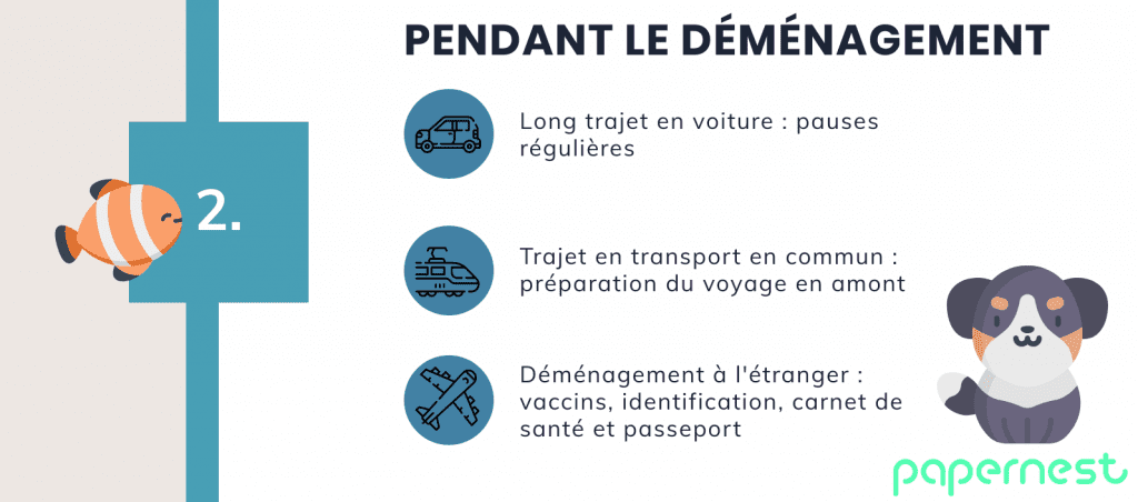 Pendant déménagement animaux infographie