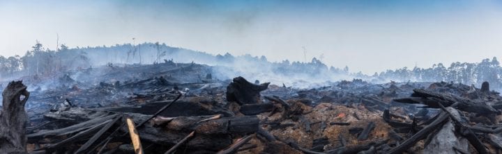 incendie foret incendie foret